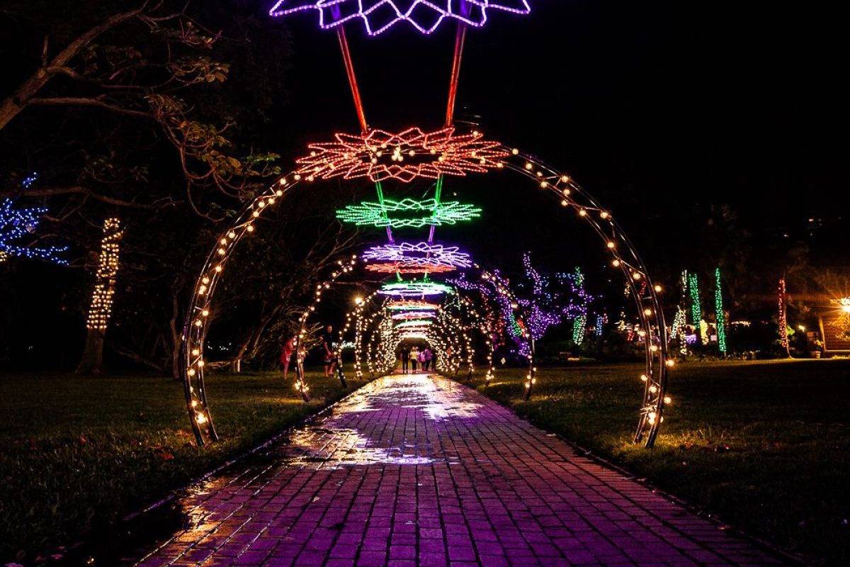 Trail of Lights Event