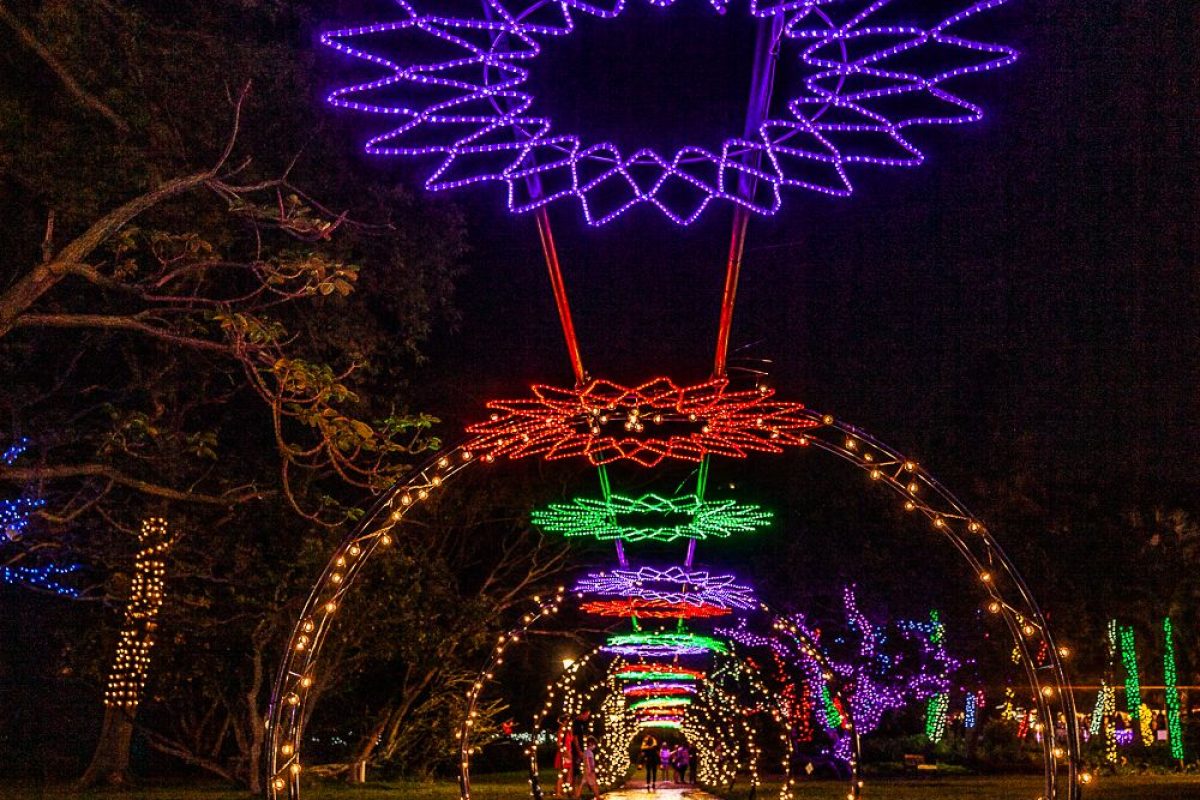 Trail of Lights Event
