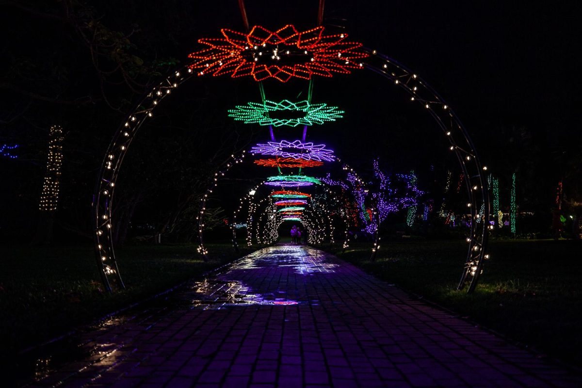 Trail of Lights Event