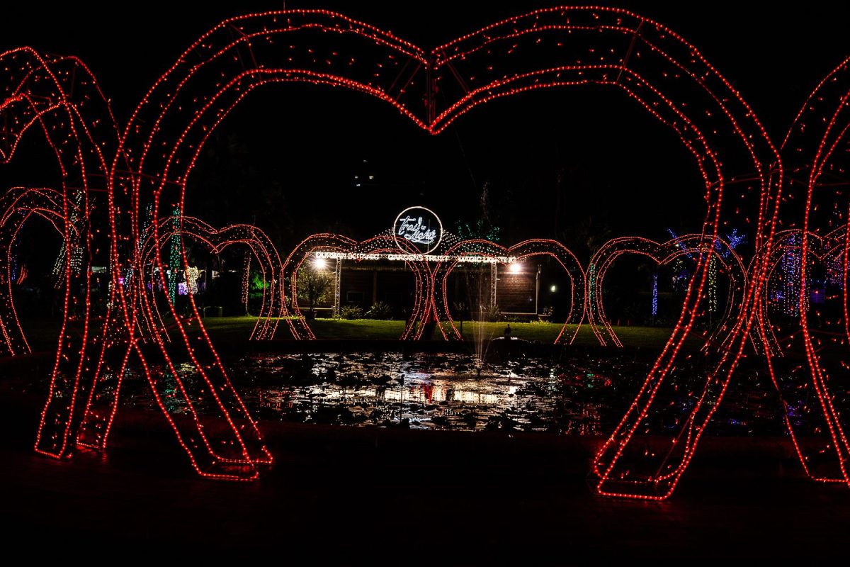 Trail of Lights Event