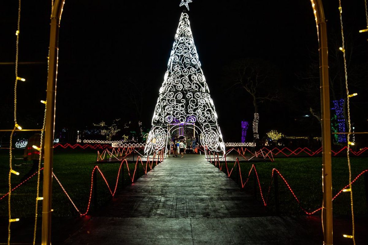 Trail of Lights Event