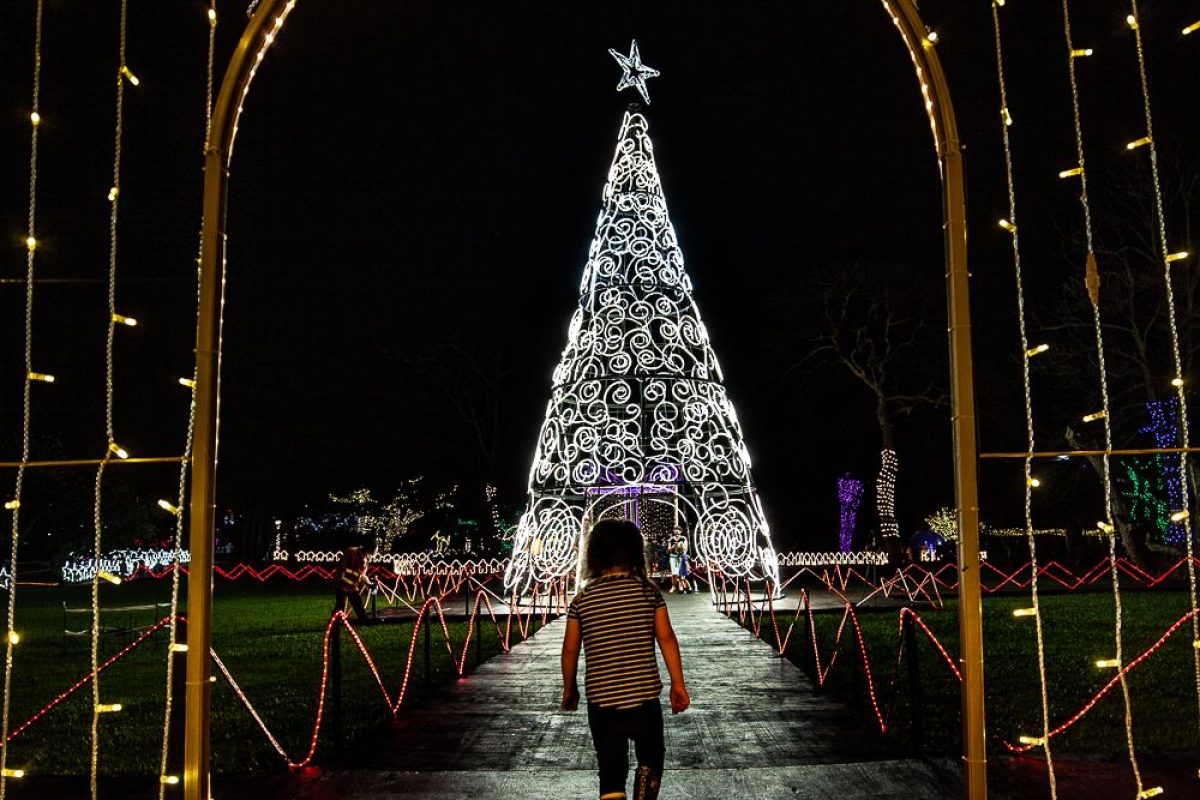 Trail of Lights Event