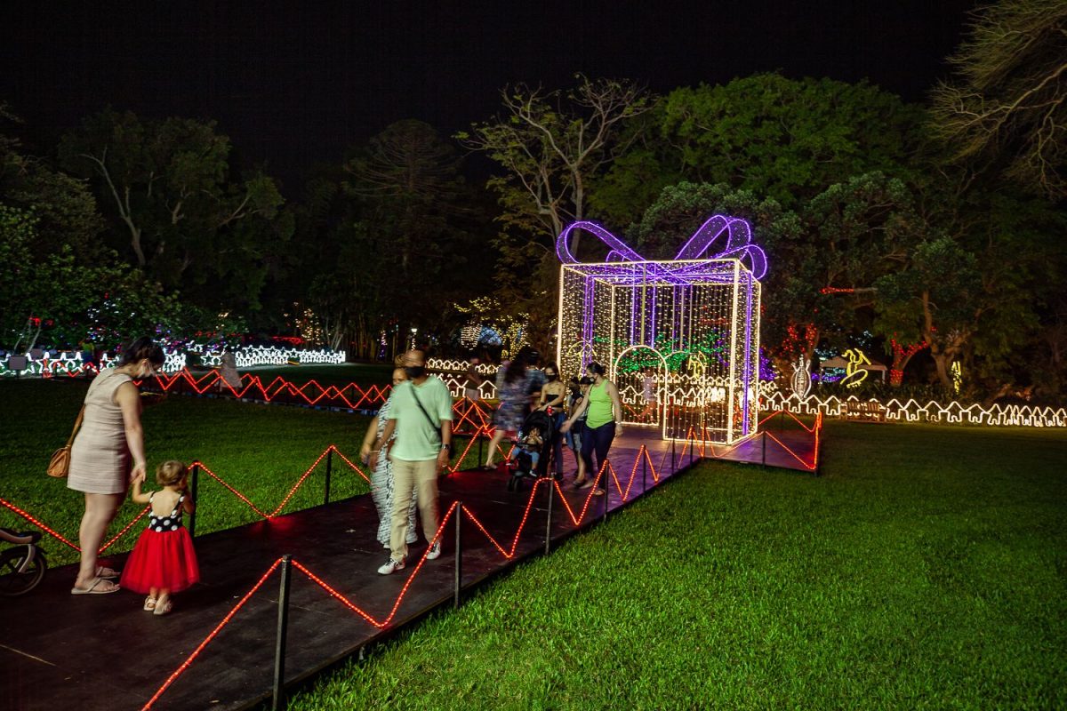 Trail of Lights Event