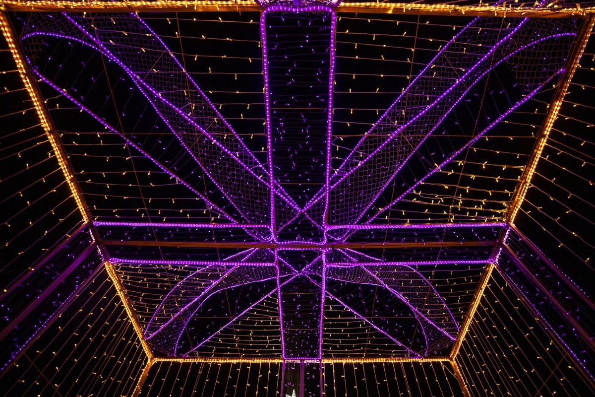 Trail of Lights Event