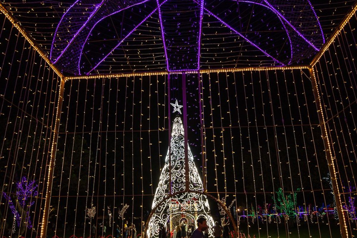 Trail of Lights Event