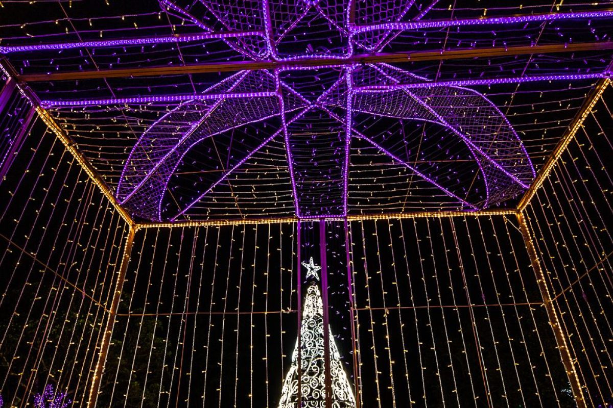 Trail of Lights Event