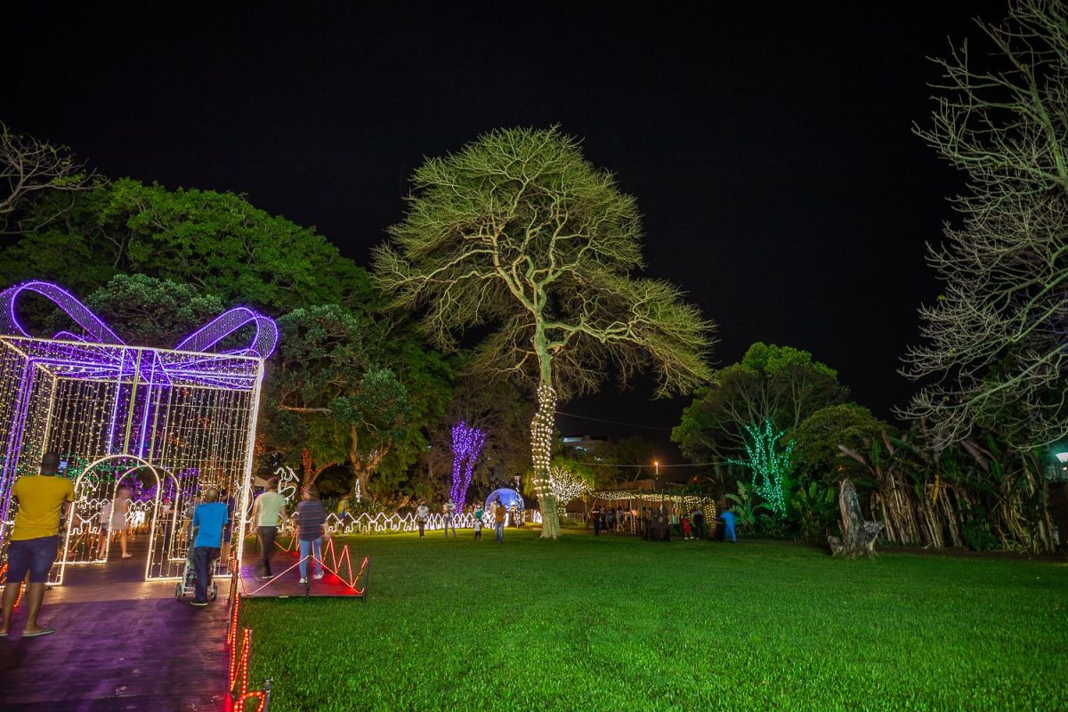 Trail of Lights Event