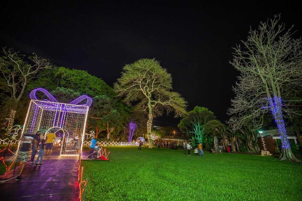 Trail of Lights Event