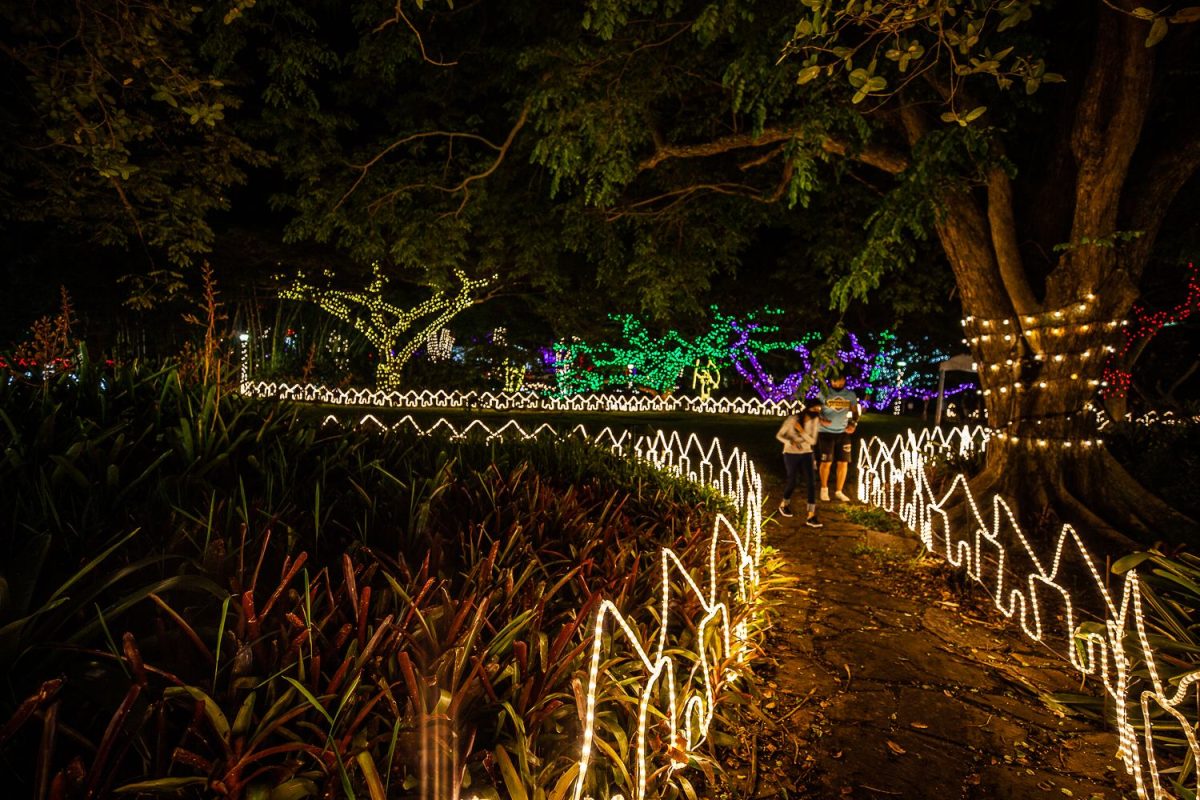 Trail of Lights Event