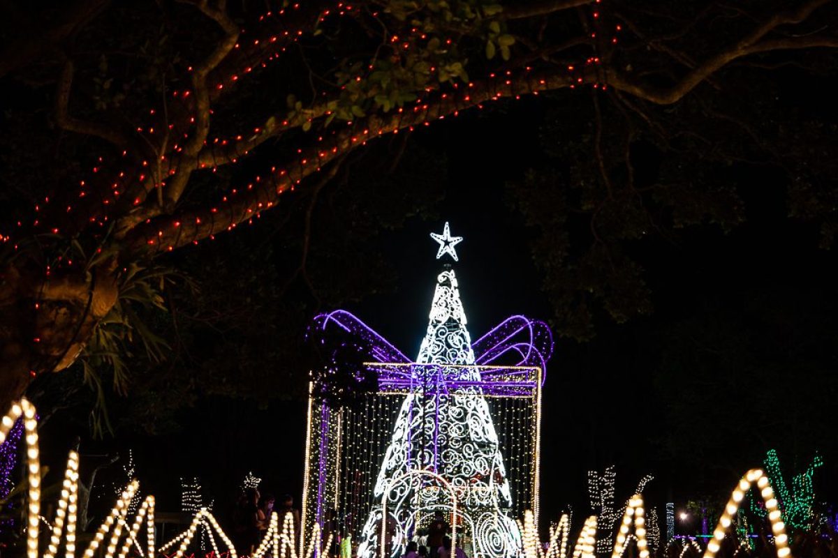Trail of Lights Event