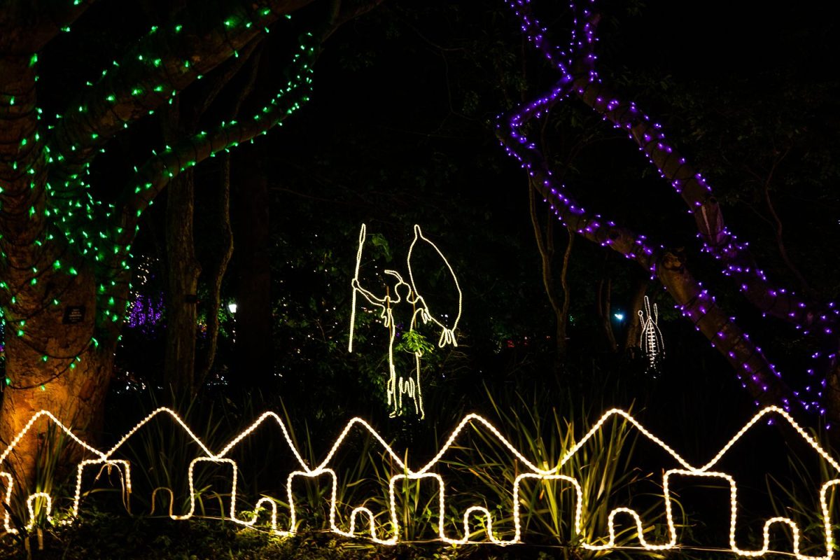 Trail of Lights Event