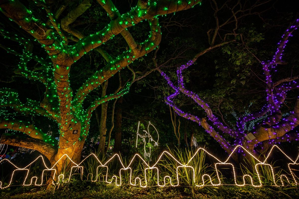 Trail of Lights Event