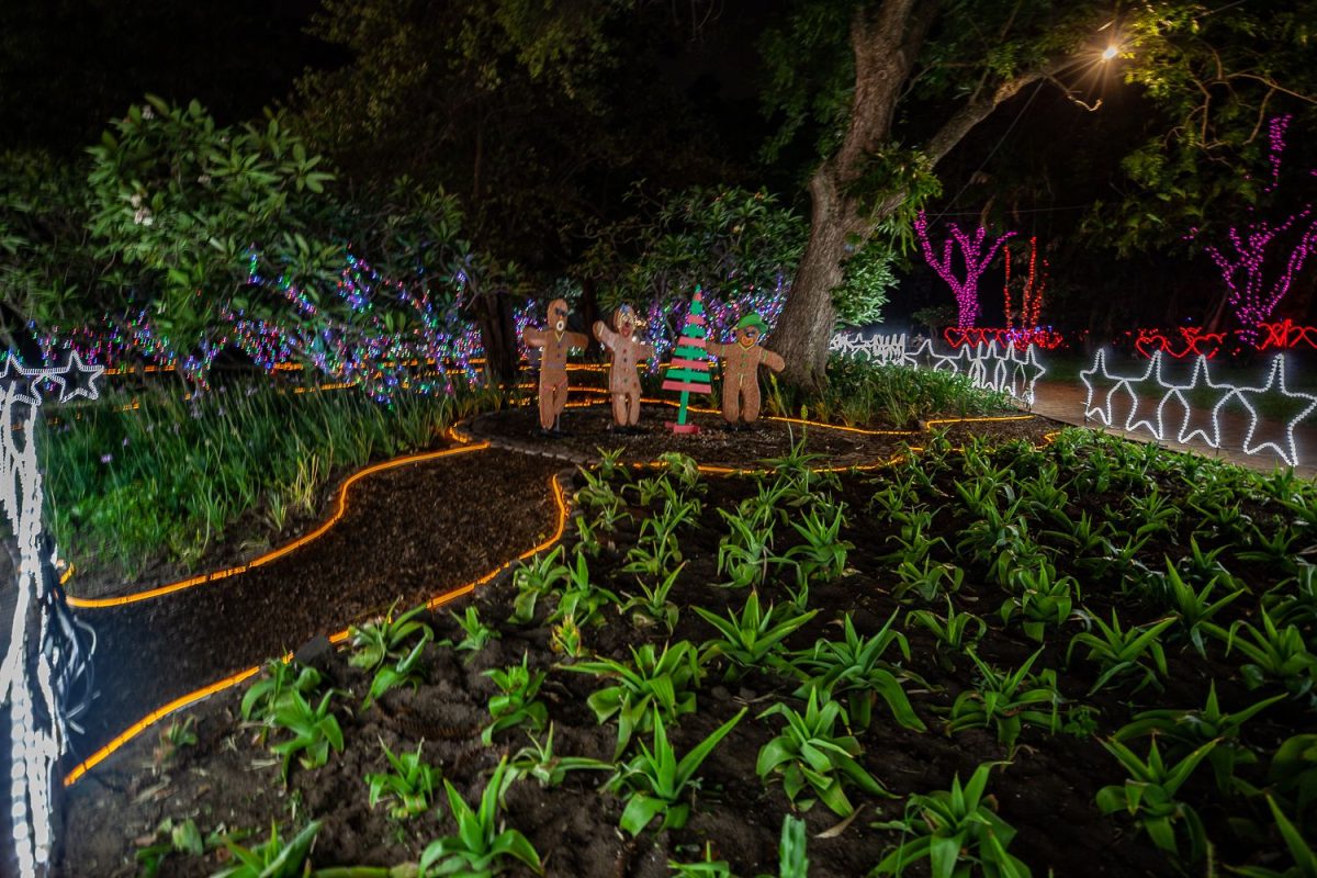 Trail of Lights Event