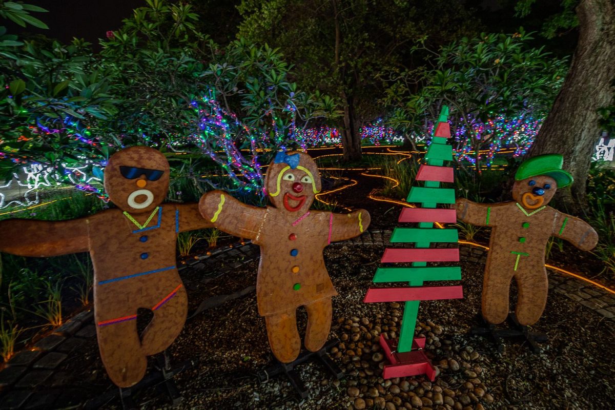 Trail of Lights Event
