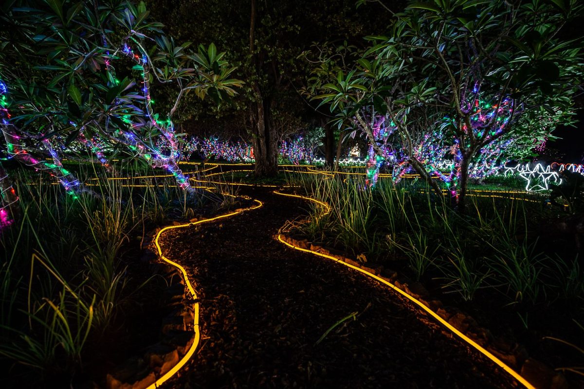 Trail of Lights Event