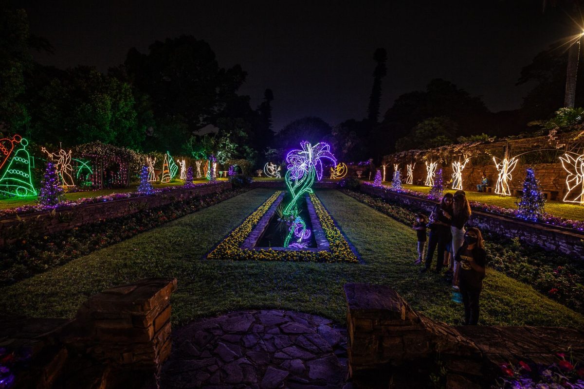 Trail of Lights Event