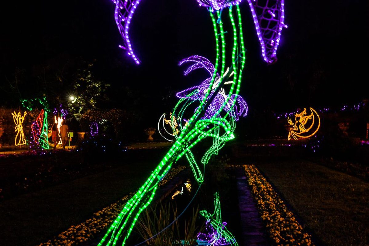 Trail of Lights Event