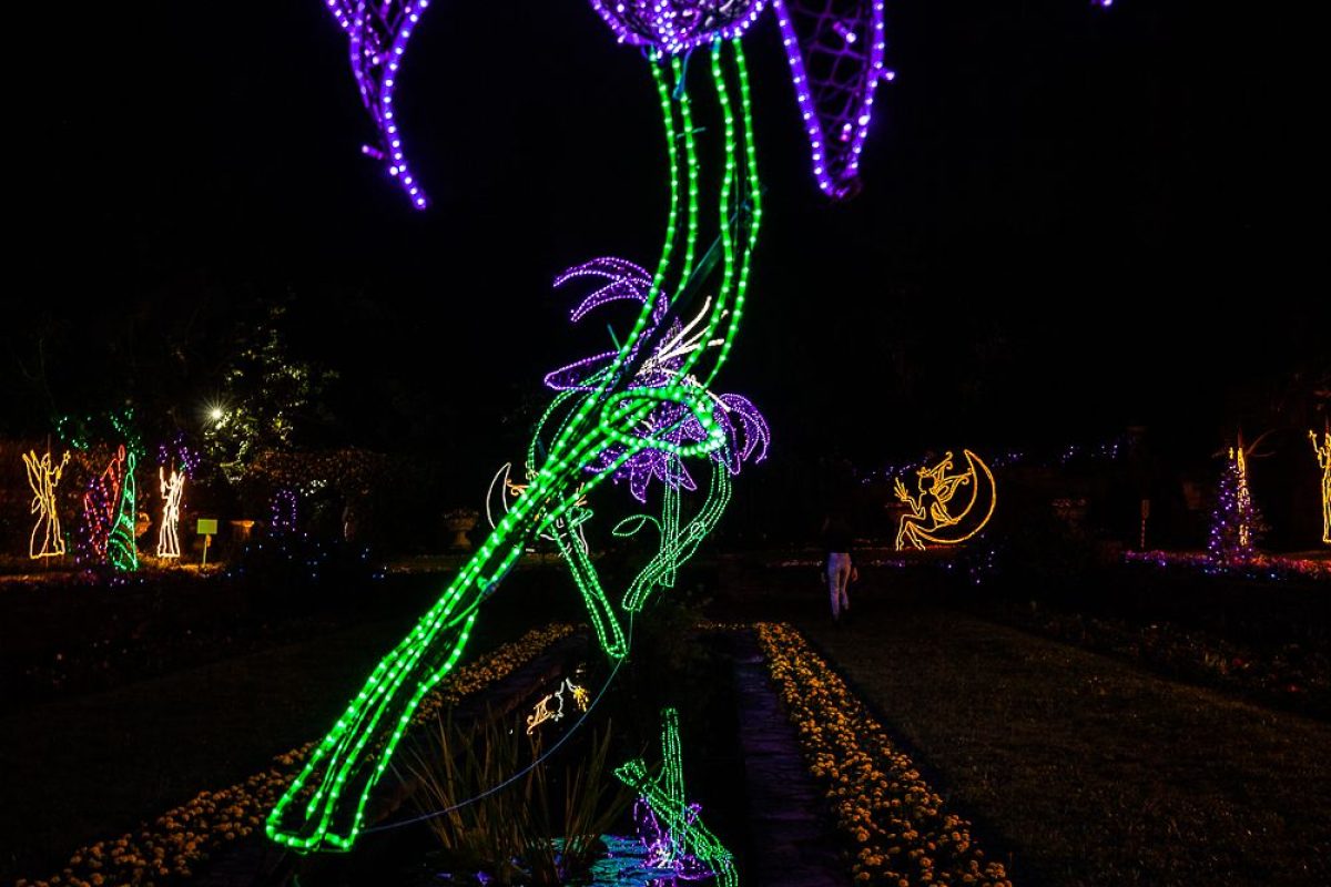 Trail of Lights Event