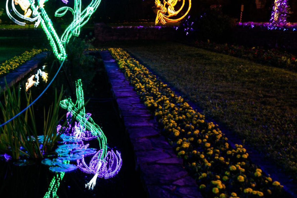 Trail of Lights Event