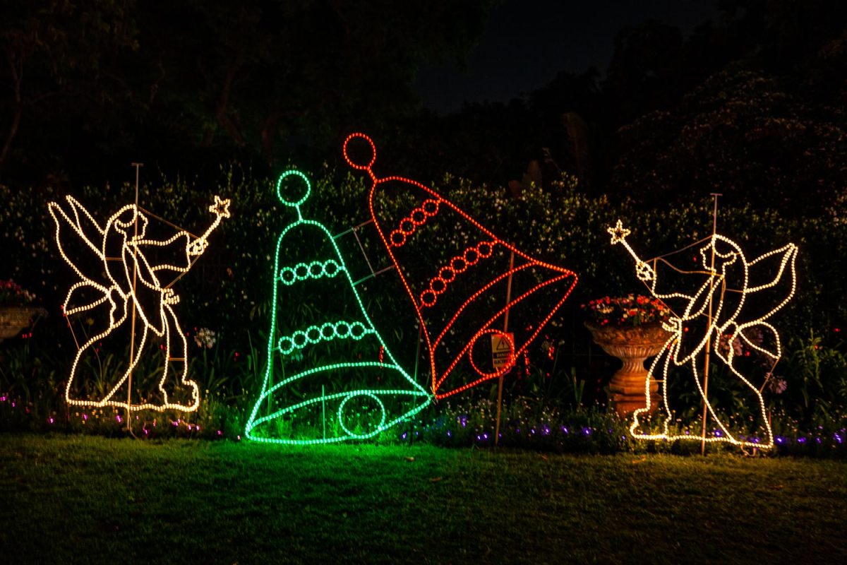 Trail of Lights Event