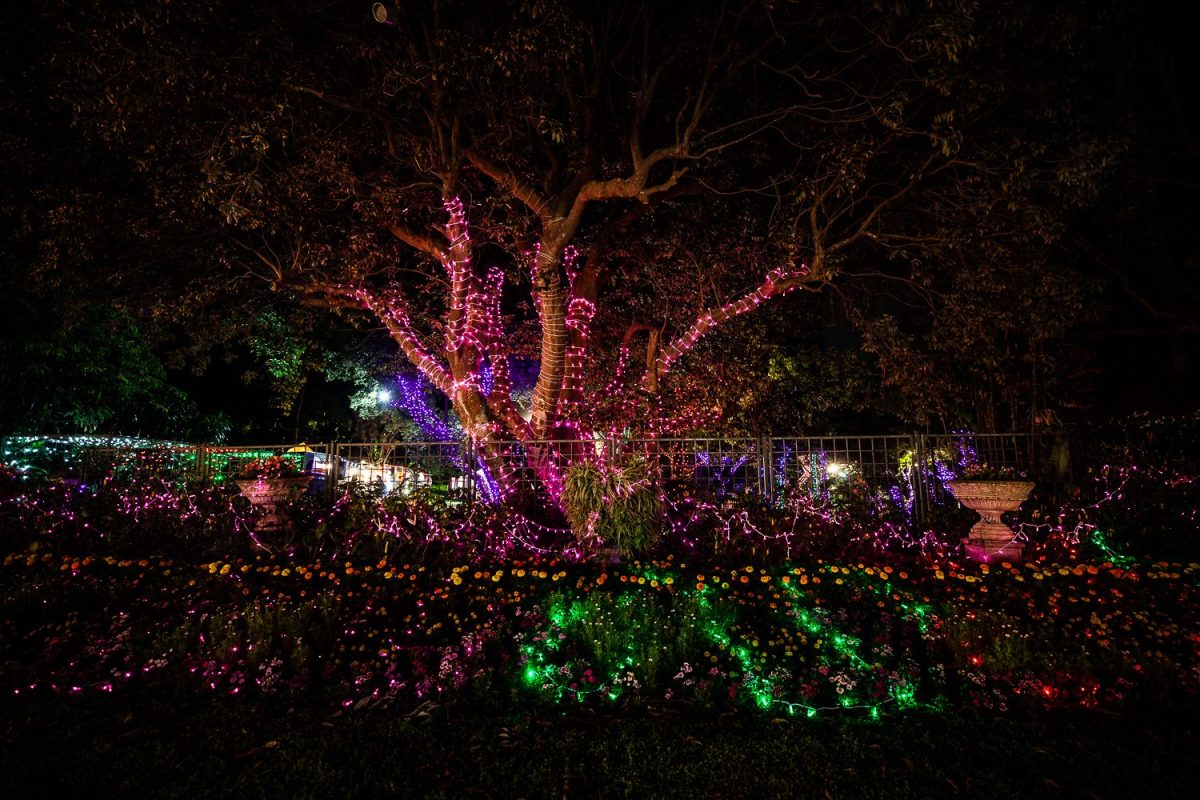 Trail of Lights Event