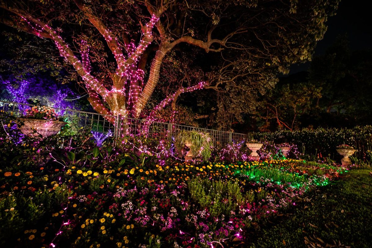 Trail of Lights Event