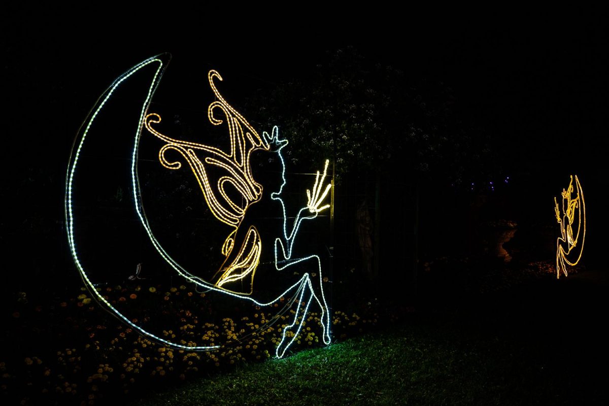 Trail of Lights Event