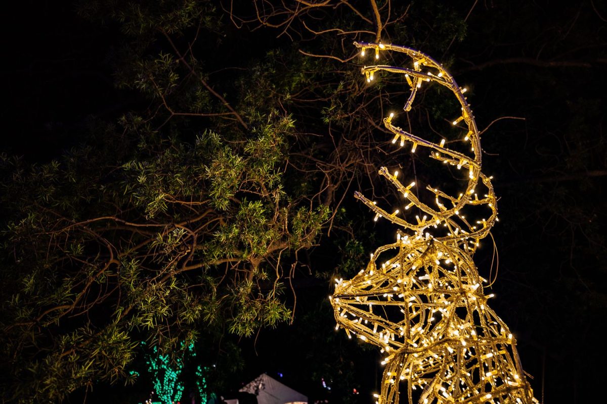 Trail of Lights Event