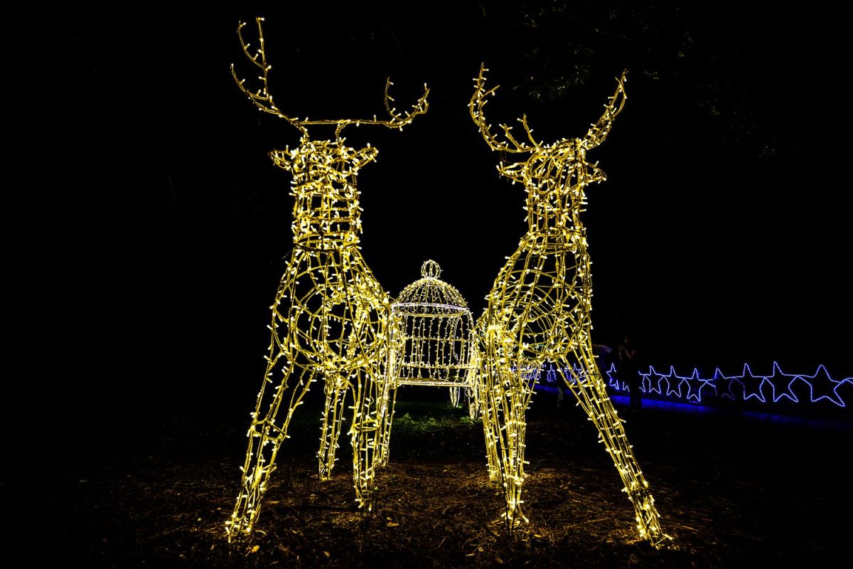 Trail of Lights Event
