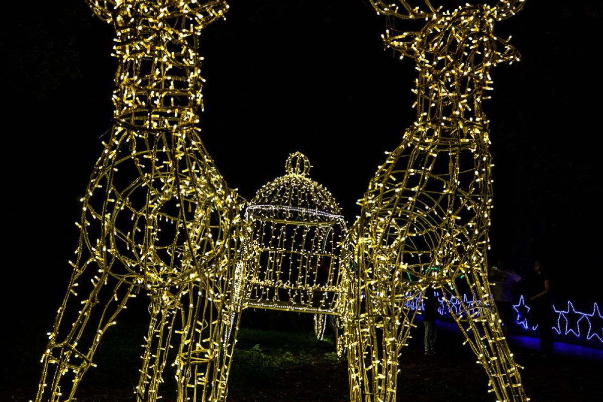Trail of Lights Event