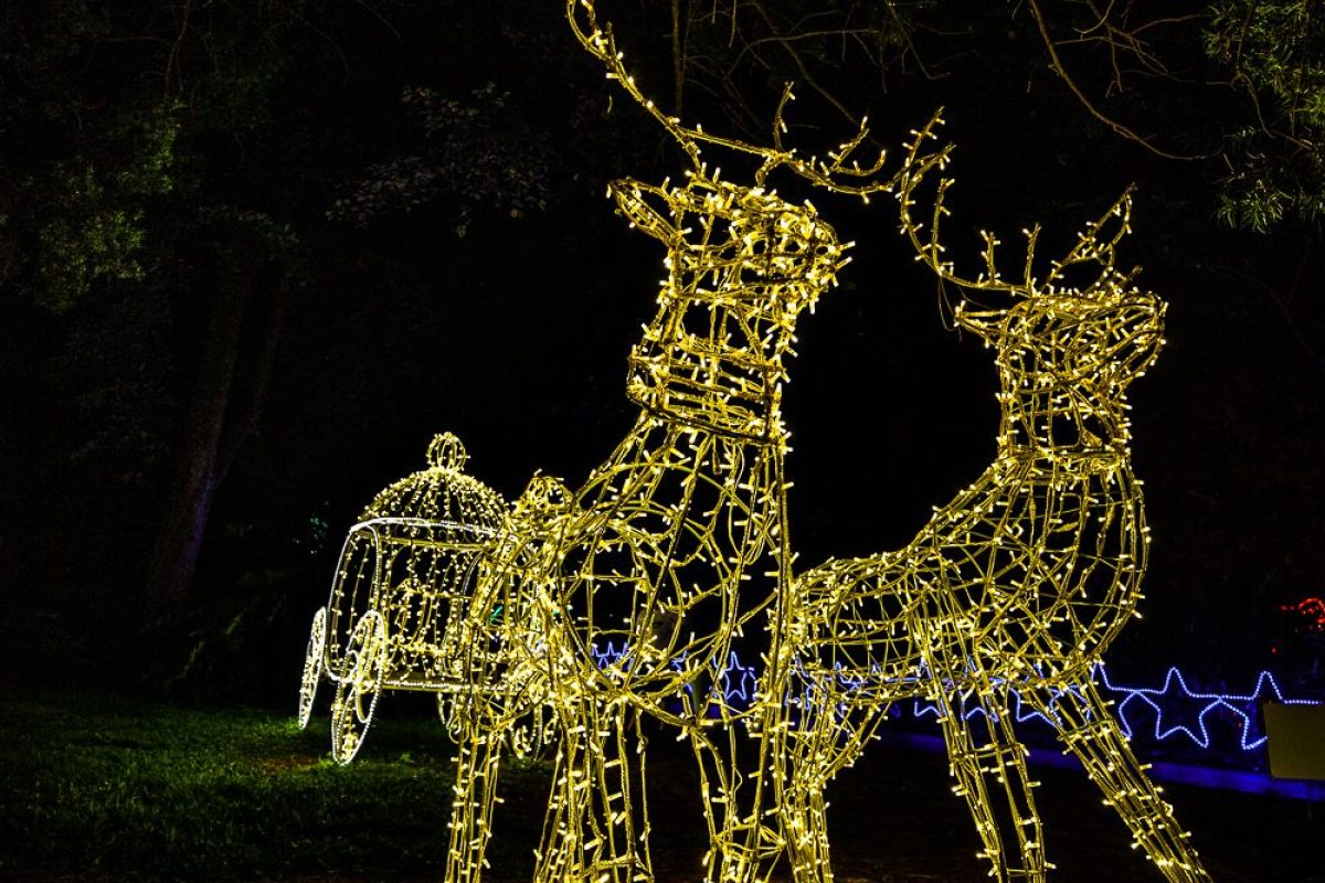 Trail of Lights Event
