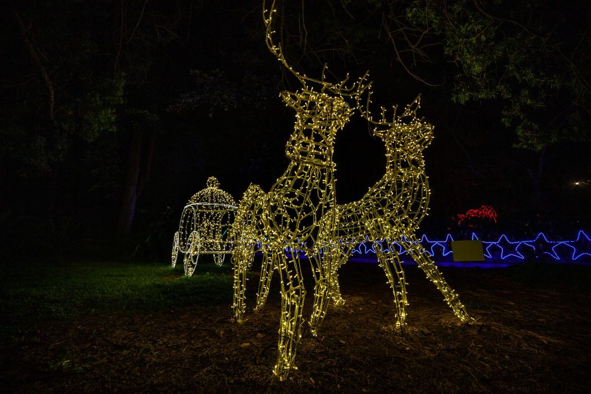 Trail of Lights Event