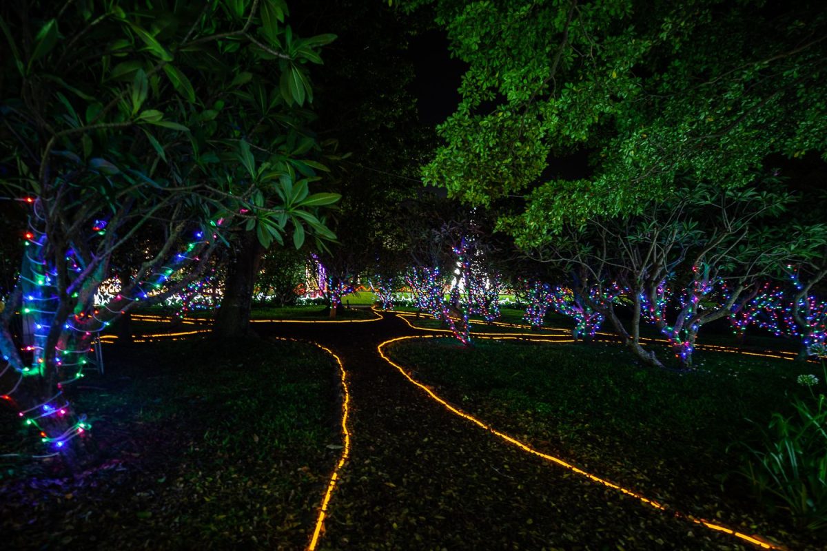 Trail of Lights Event