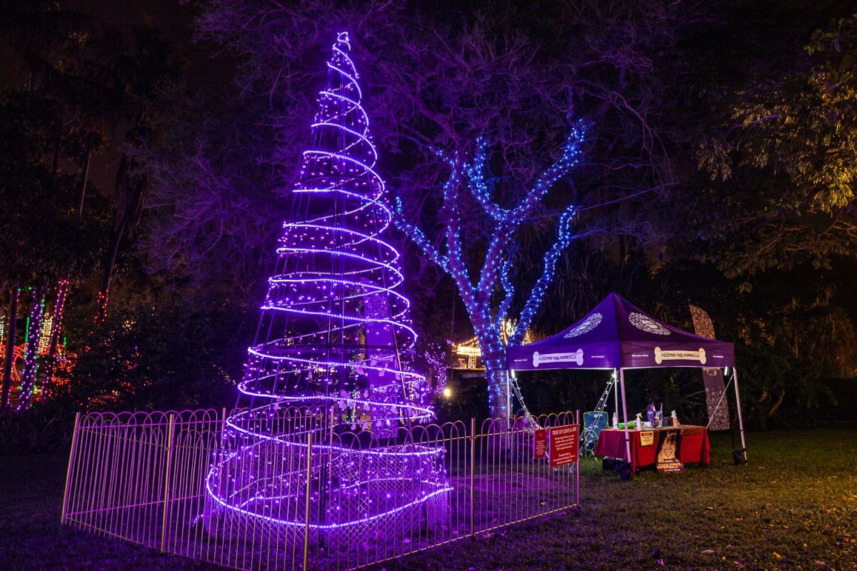 Trail of Lights Event