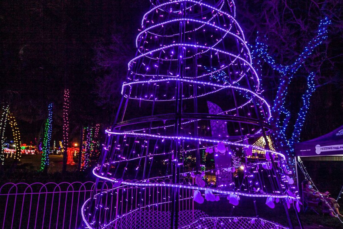 Trail of Lights Event