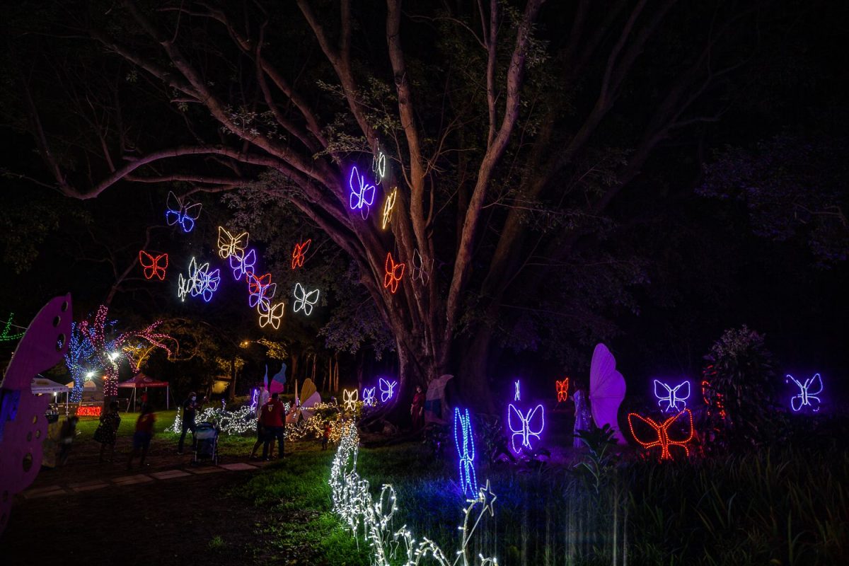 Trail of Lights Event