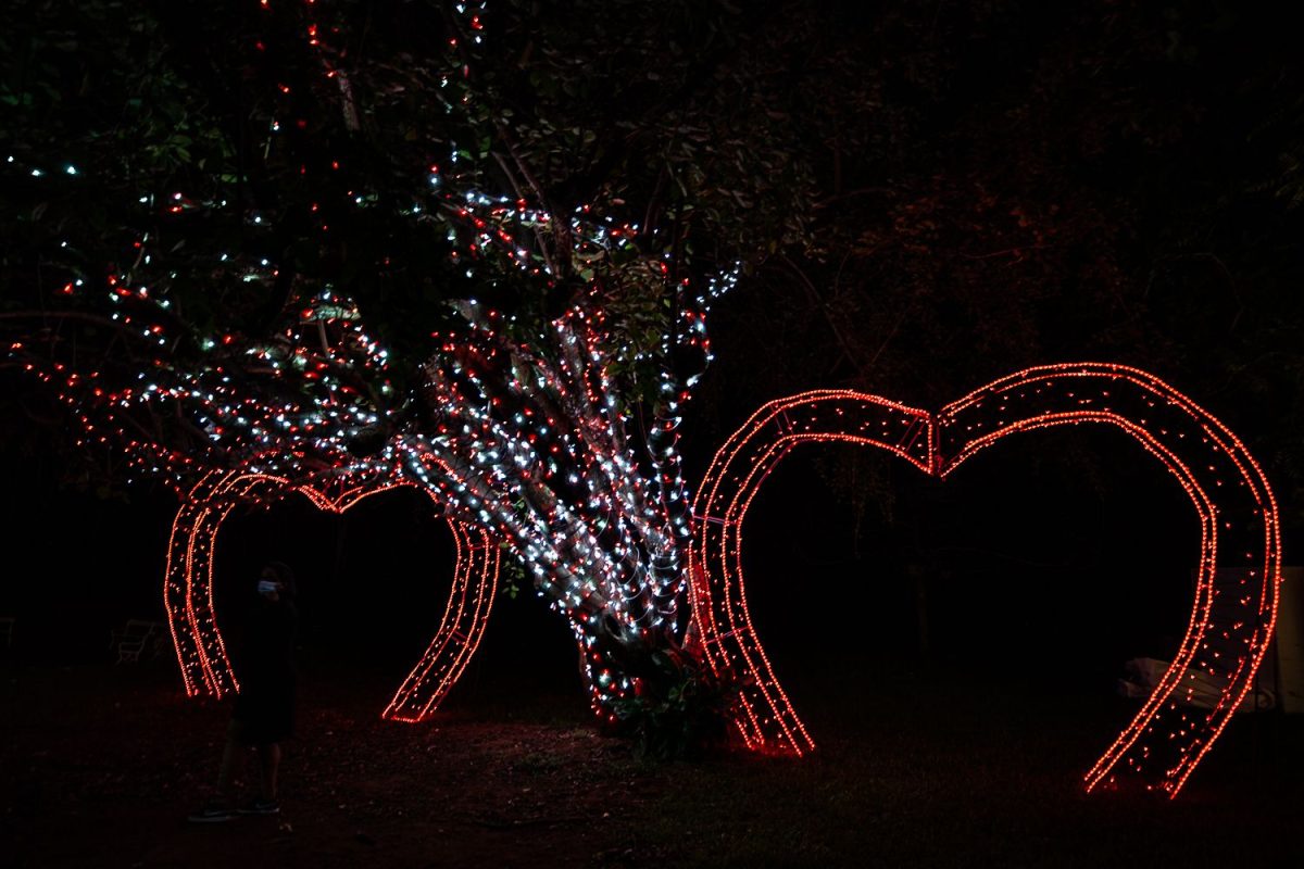 Trail of Lights Event