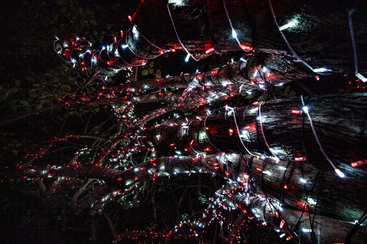 Trail of Lights Event