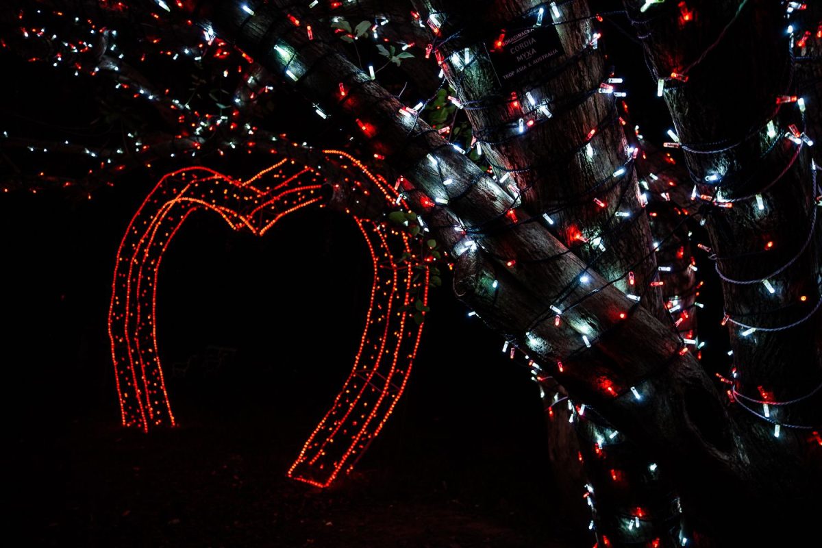 Trail of Lights Event