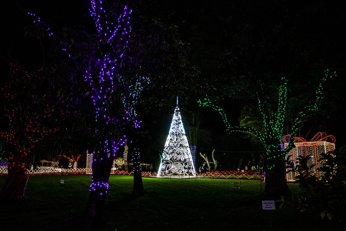 Trail of Lights Event